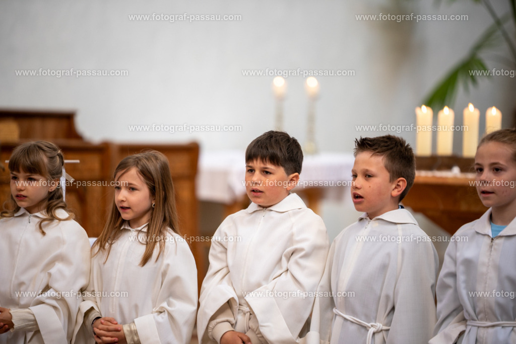 _DSC2678 | Hier finden Sie die Online Foto-Galerie von fotograf-passau.com und marius-handrugan.de. Suchen Sie sich direkt Ihre Lieblingsbilder aus, ob als Ausdruck oder Download. - Realisiert mit Pictrs.com