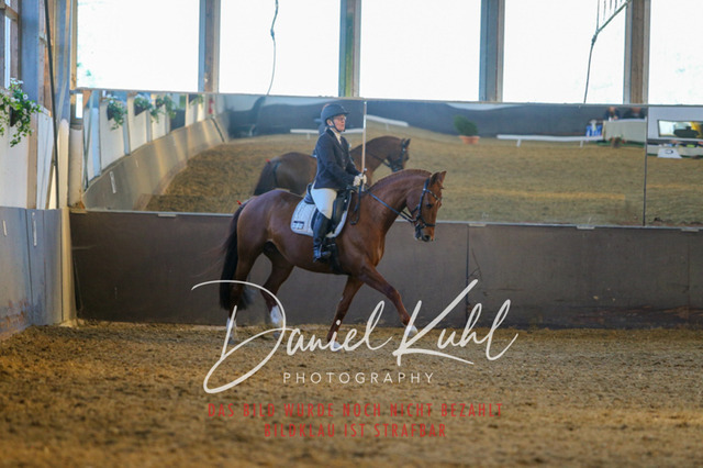 IMG_3327 | Turniersportfotografie; Pferdefotografie; Dressurfotografie