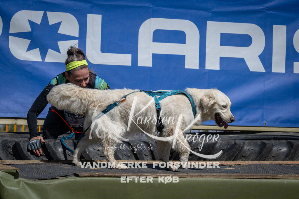 1240_ZZ96118 | kk-dogfotos