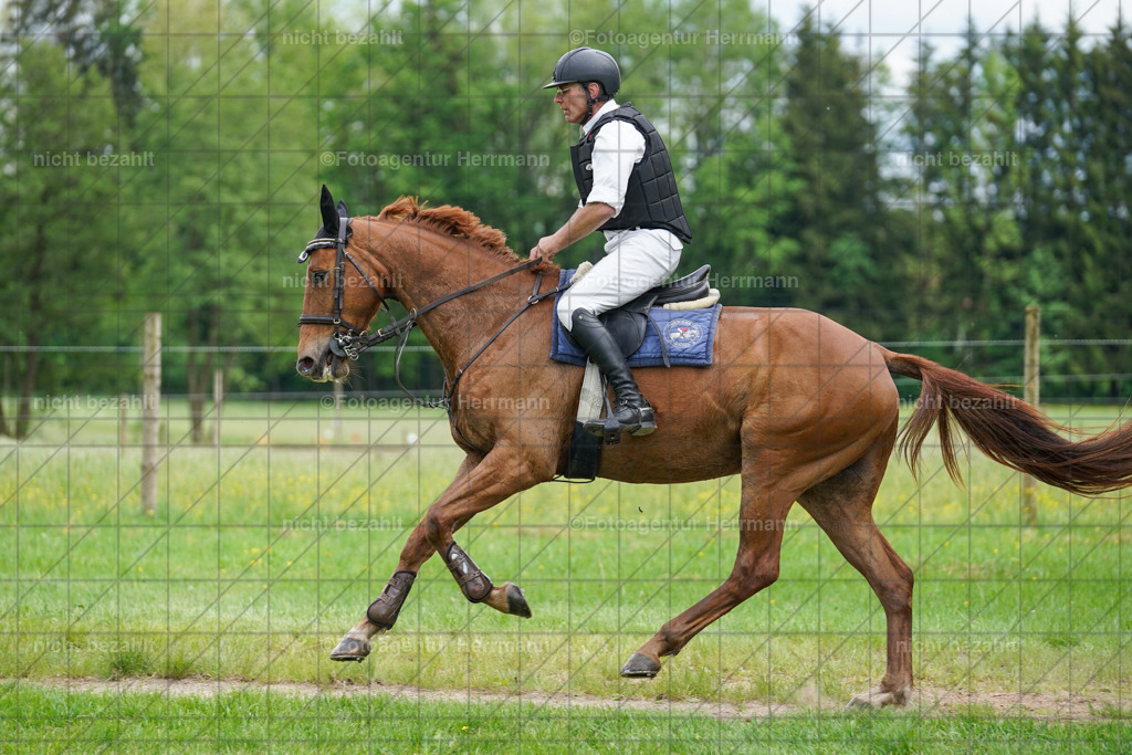 20240518-FAH03963 | Turnierbilder von Niederseon, Turnierfotografen Bayern, Fotoagentur Herrmann, Geländebilder, Reitsportfotografie