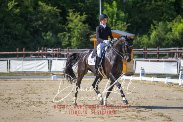 DKP42574 | Turniersportfotografie; Pferdefotografie; Dressurfotografie