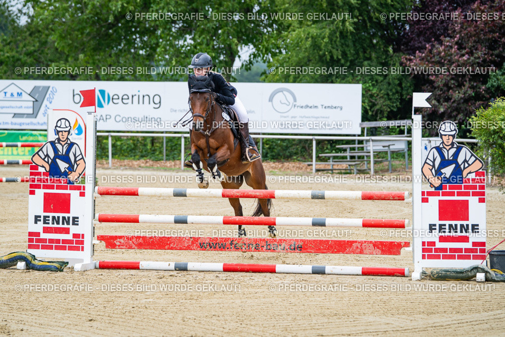 DSC03224 | Pferdegrafie