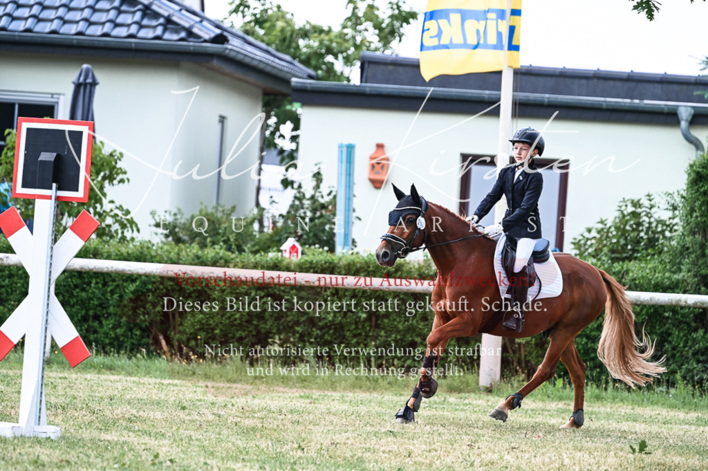DSC_9057 | Pferde- und Turnierfotografie in Westsachsen. Pferdeportraits, Auftragszeichnungen und intuitive Kunst.