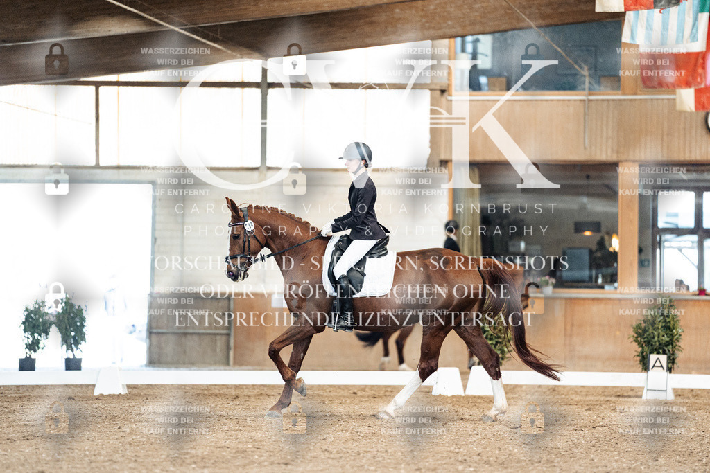 CK900957 | Turnierfotografie Pferdefotografie Trier Rheinland-Pfalz Pferdesport Reitsport Tierfotografie Sportfotografie Pferdevideo Pferdevideografie Equestrianvideography equestrianphotography  - Realisiert mit Pictrs.com