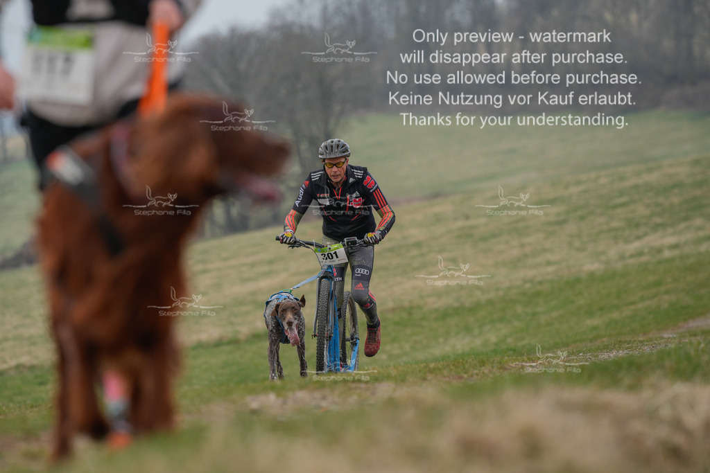 ScooterSA-1 | stephaniefillaphotographie - Realisiert mit Pictrs.com