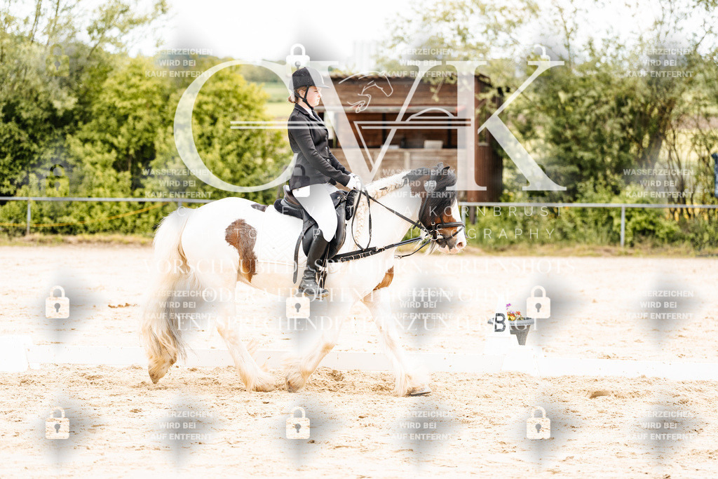 CK904249 | Turnierfotografie Pferdefotografie Trier Rheinland-Pfalz Pferdesport Reitsport Tierfotografie Sportfotografie Pferdevideo Pferdevideografie Equestrianvideography equestrianphotography  - Realisiert mit Pictrs.com