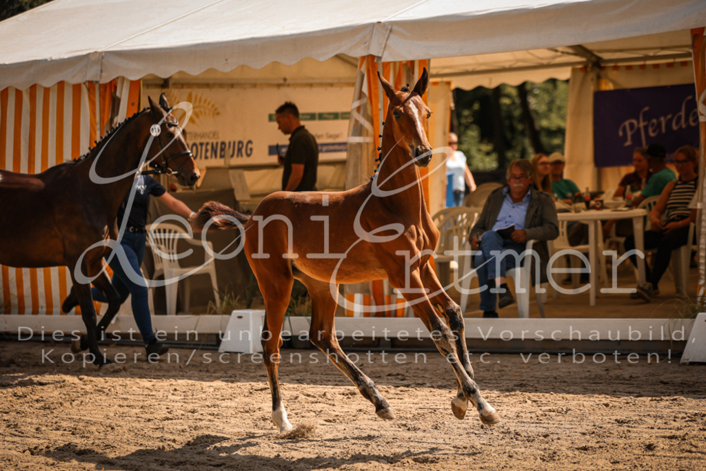 07.DoWBS00074 | Leoni Ertmer Photography - Realisiert mit Pictrs.com