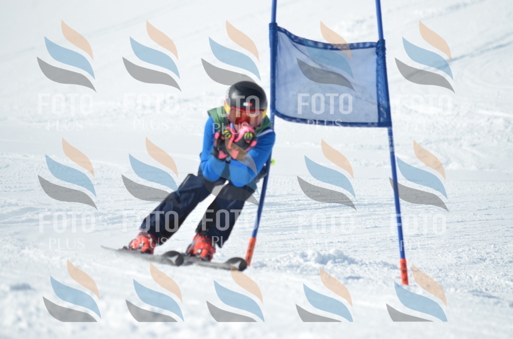 D9116 | holidayphoto