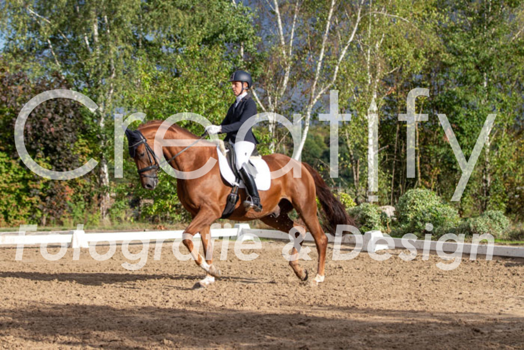 IMG_4767 | Creatify Fotografie