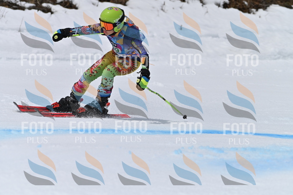 BGV_3841 | holidayphoto