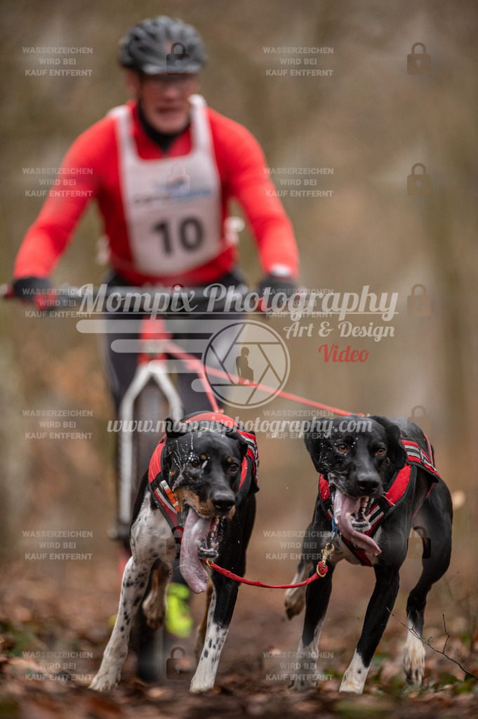 Reiat2023_SON_DS2_8km_2H-6 | mompixphotography