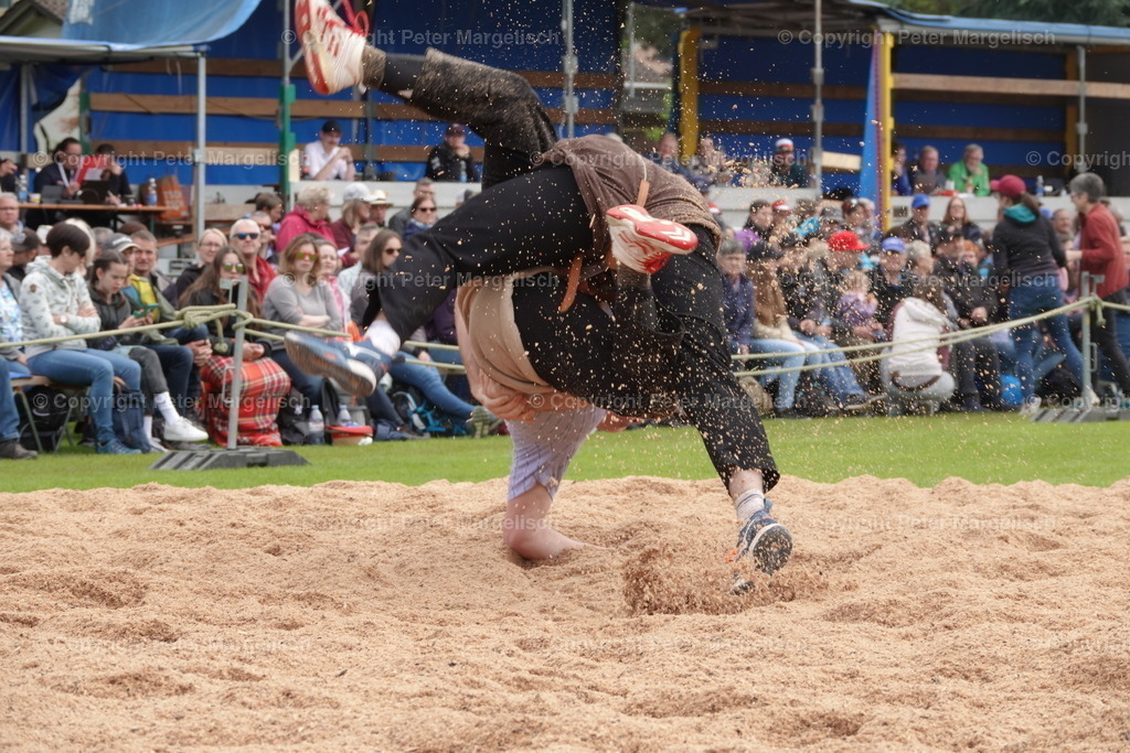 DSC04077 | Schwingen - Realisiert mit Pictrs.com
