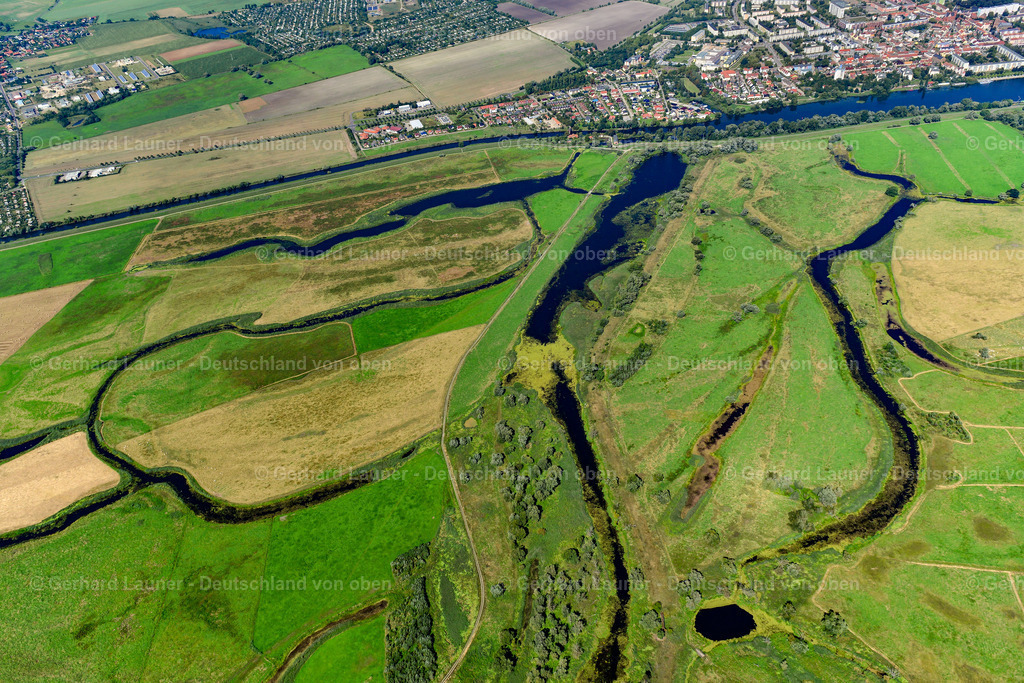 3637503 | Nationalpark Unteres Odertal bei SCHWEDT/ODER 25.08.2016 Grasflächen- Strukturen einer Feld- und Wiesen- Landschaft des Nationalpark Unteres Odertal am Unterlauf der Oder in Schwedt/Oder im Bundesland Brandenburg, Deutschland. Die großflächige Fluss-Auenlandschaft ist Lebensraum für viele seltene oder geschützte Pflanzen und Tiere. // Structures of a field landscape of Nationalpark Unteres Odertal in Schwedt/Oder in the state Brandenburg, Germany. Foto: Gerhard Launer