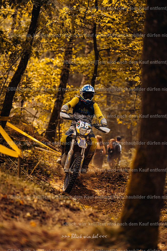 E68A4028 | blick_win_kel