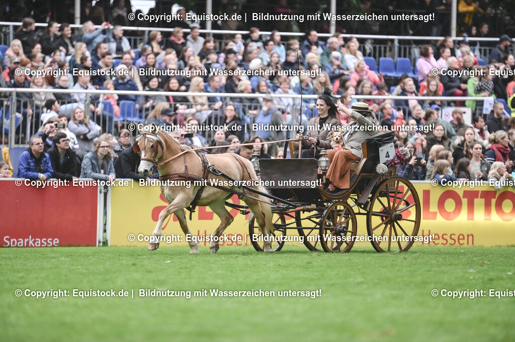 20240517_Lange-Pferdenacht_0043 | Foto: Thomas Hartig