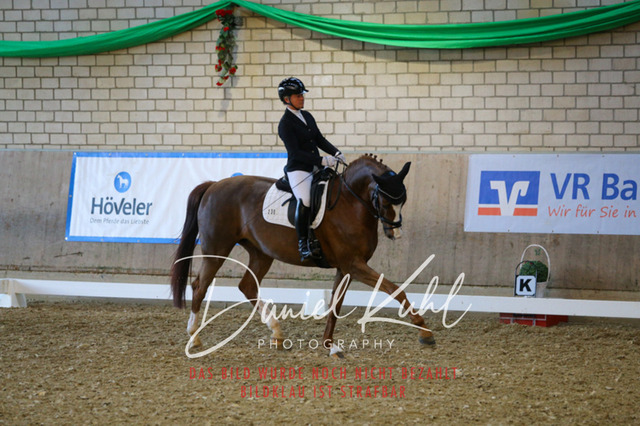 IMG_2998 | Turnierfotos kaufen im Webshop von Daniel Kuhl Photography – entdecke professionelle Reitsportfotos aus Turnieren & Events. Hochwertige Turnierbilder online bestellen & sichern. Jetzt Fotos von Reitsportturnieren kaufen!