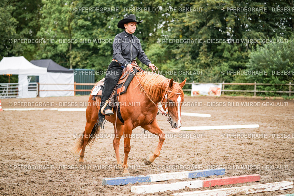 DSC03581 | Pferdegrafie