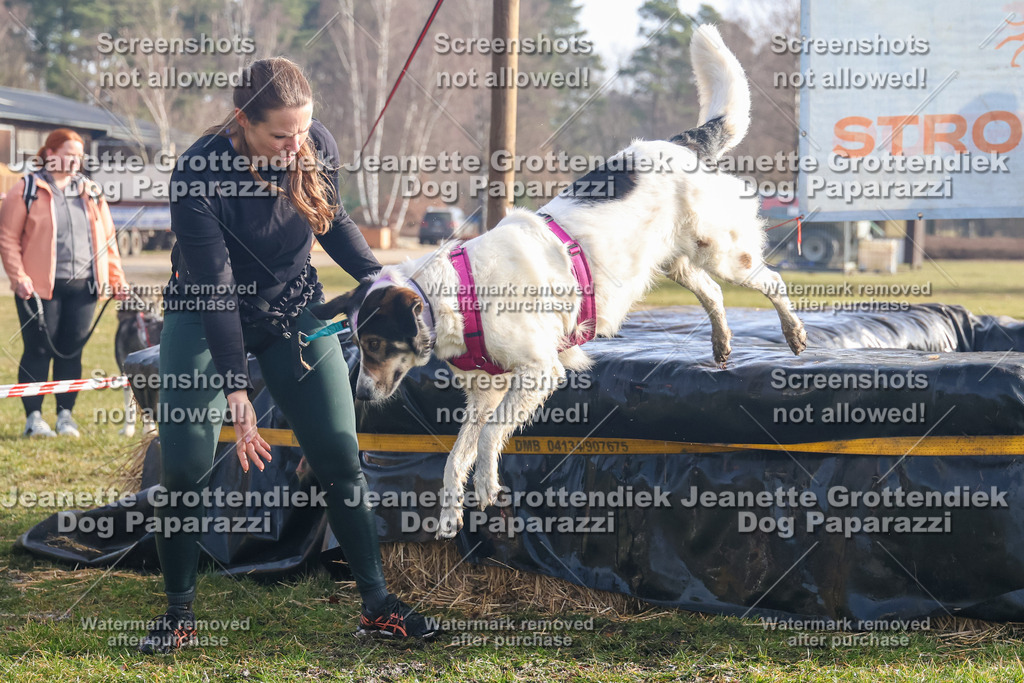 Dog Paparazzi - Strongdog North Mrz26-267 | Dog Paparazzi Jeanette Grottendiek Fotografie & Videografie - Realisiert mit Pictrs.com