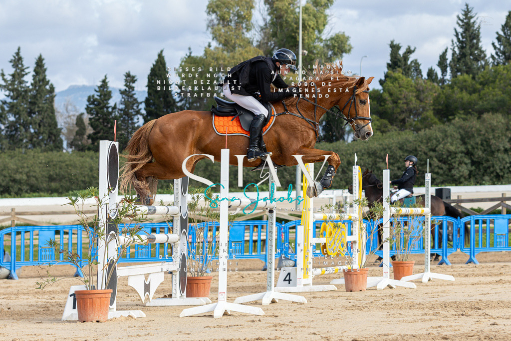 IMG_2129 | s-jay-photography - Realisiert mit Pictrs.com