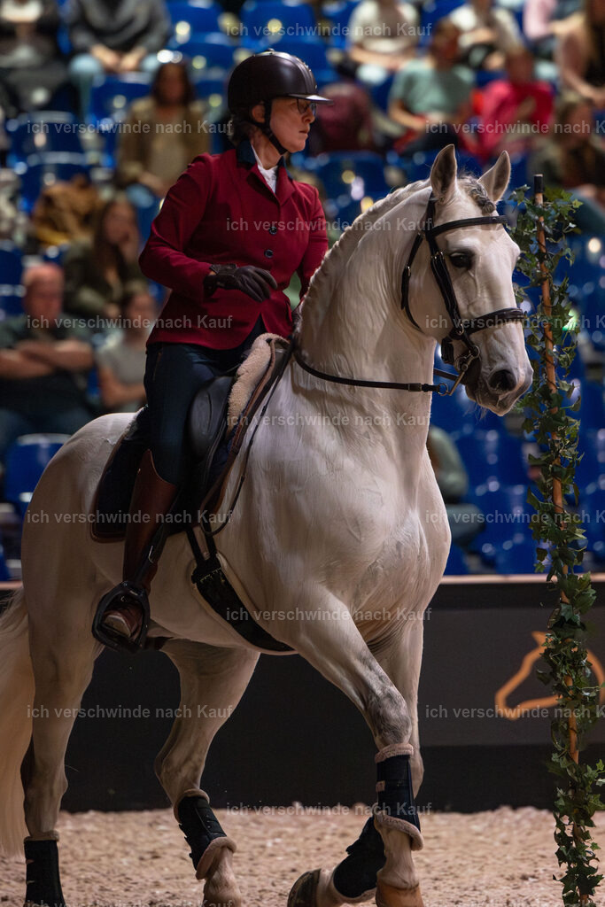 JoseraCup-96 | working equitationturnier fotograf videograf stoibphotography marixx film working equitation deutschland reitsport turnierfotografie eventfotografie equestrian events