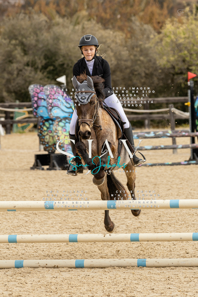 IMG_4524 | s-jay-photography - Realisiert mit Pictrs.com