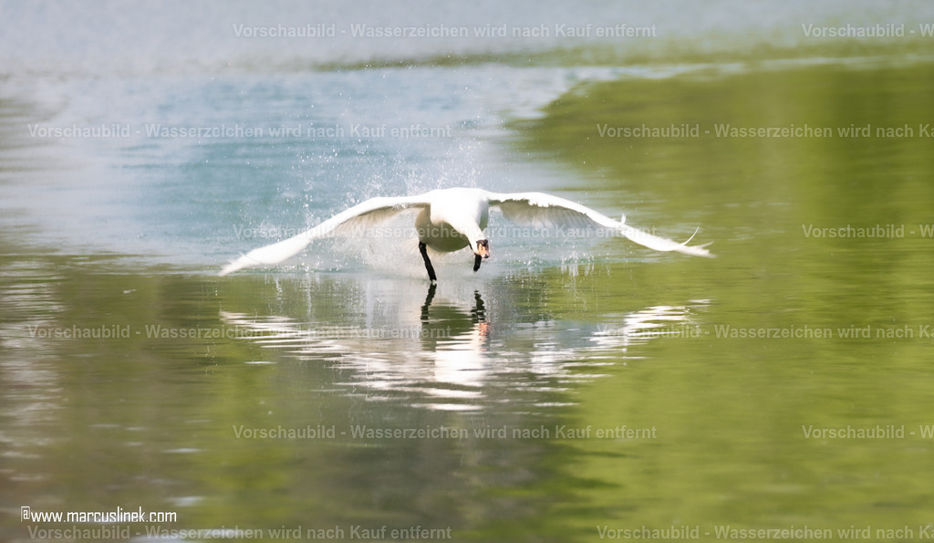 DSC01112 | marcuslinek