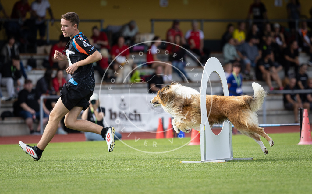 Pfotenfotografie_DV3A1230 | Hundefotografie, Tierfotograf, Pfotenfotografie, Fotoshooting Hund, Hunde Portrait, Hundesport, Hundeportraits, Heideshooting, Hunde, Sportfotograf, Hundefotograf, Turnierhundsport, THS,  - Realisiert mit Pictrs.com