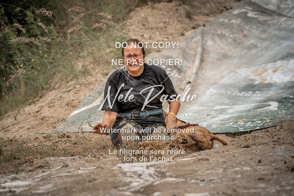 nelerasche_sa1200-1230_268 | nelerasche