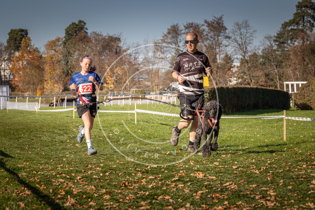 CaniXpix_0L8A7172 | Hundefotografie, Tierfotograf, Pfotenfotografie, Fotoshooting Hund, Hunde Portrait, Hundesport, Hundeportraits, Heideshooting, Hunde, Sportfotograf, Hundefotograf, Turnierhundsport, THS,  - Realisiert mit Pictrs.com