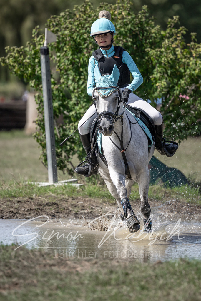 20250907-_3LI0098 | Tierfotografie Pferde, Hunde, Katzen, Haustiere.
Turnierfotografie Reitturniere, Reiten, Springreiten, Dressur in Hanau, dem Main-Kinzig-Kreis und dem Rhein-Main- Gebiet um Frankfurt