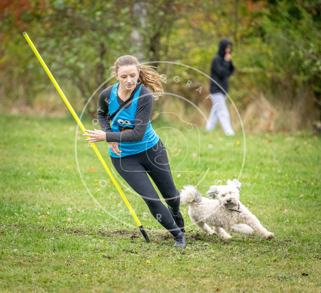 Pfotenfotografie_DV3A1091 | Hundefotografie, Tierfotograf, Pfotenfotografie, Fotoshooting Hund, Hunde Portrait, Hundesport, Hundeportraits, Heideshooting, Hunde, Sportfotograf, Hundefotograf, Turnierhundsport, THS,  - Realisiert mit Pictrs.com