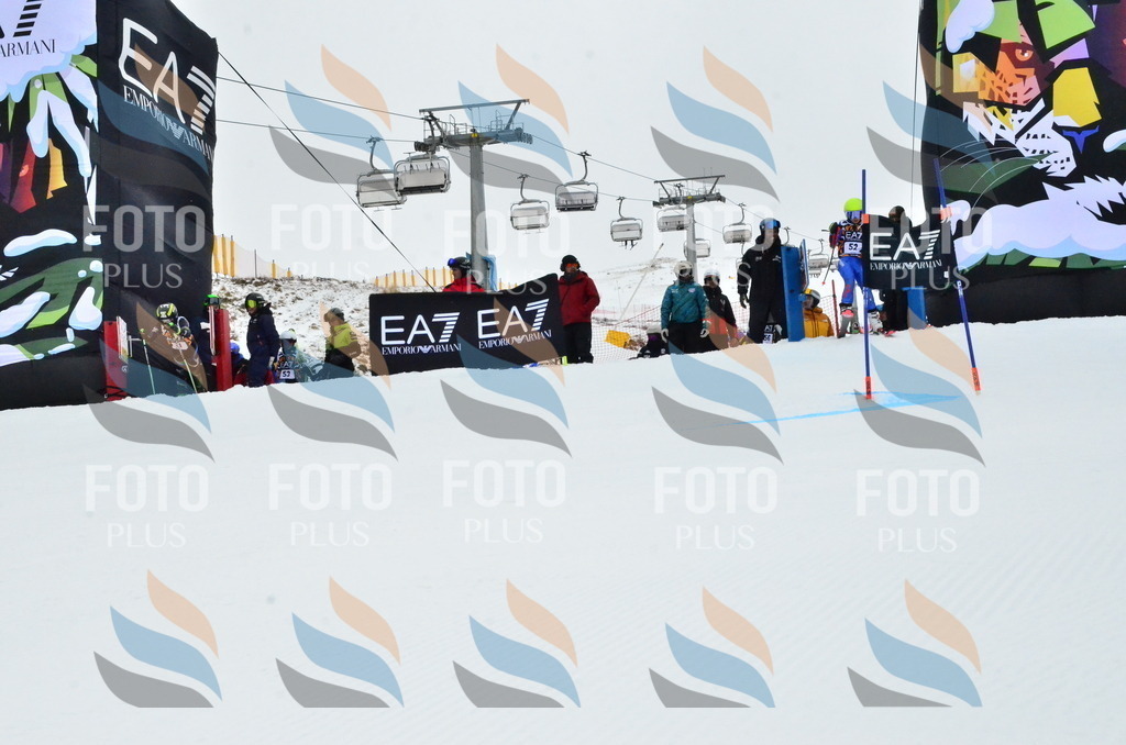 _ELE3389 | holidayphoto