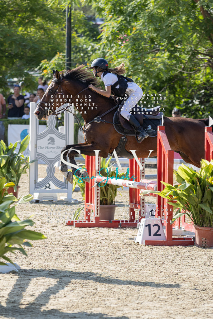 IMG_4823 | s-jay-photography - Realisiert mit Pictrs.com