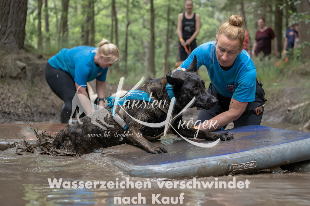 1332_ZZ94416 | kk-dogfotos