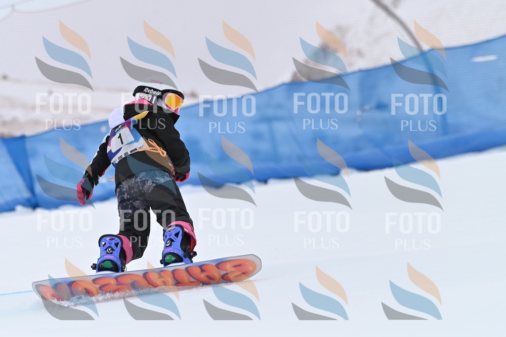 BGV_3519 | holidayphoto