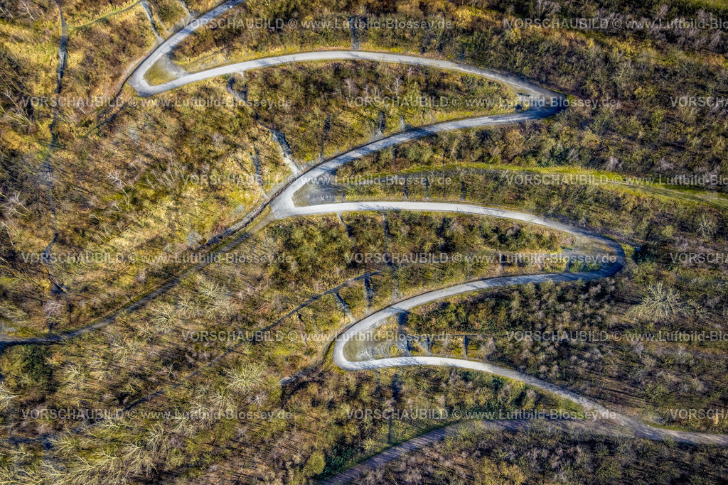 Bottrop250202426Mitte | Luftbild, Halde Beckstraße und serpentinenförmiger Wanderweg im Wald zum Tetraeder, Batenbrock-Nord, Bottrop, Ruhrgebiet, Nordrhein-Westfalen, Deutschland