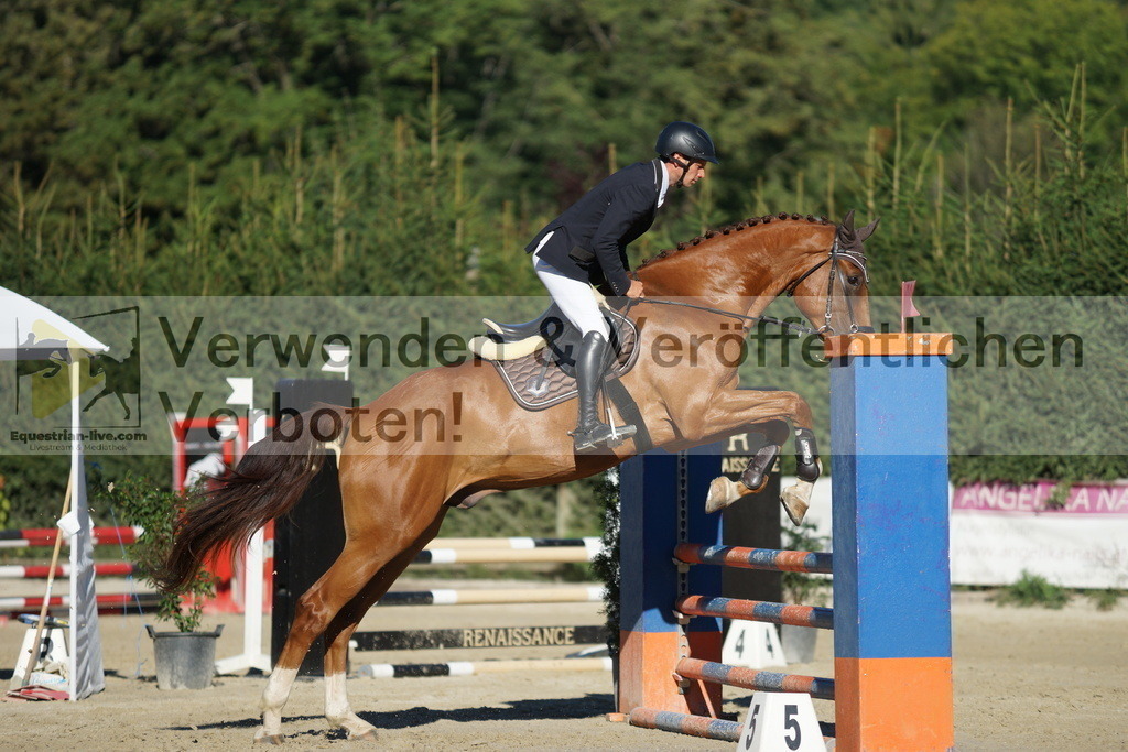 DSC08258 | equestrian-live-com