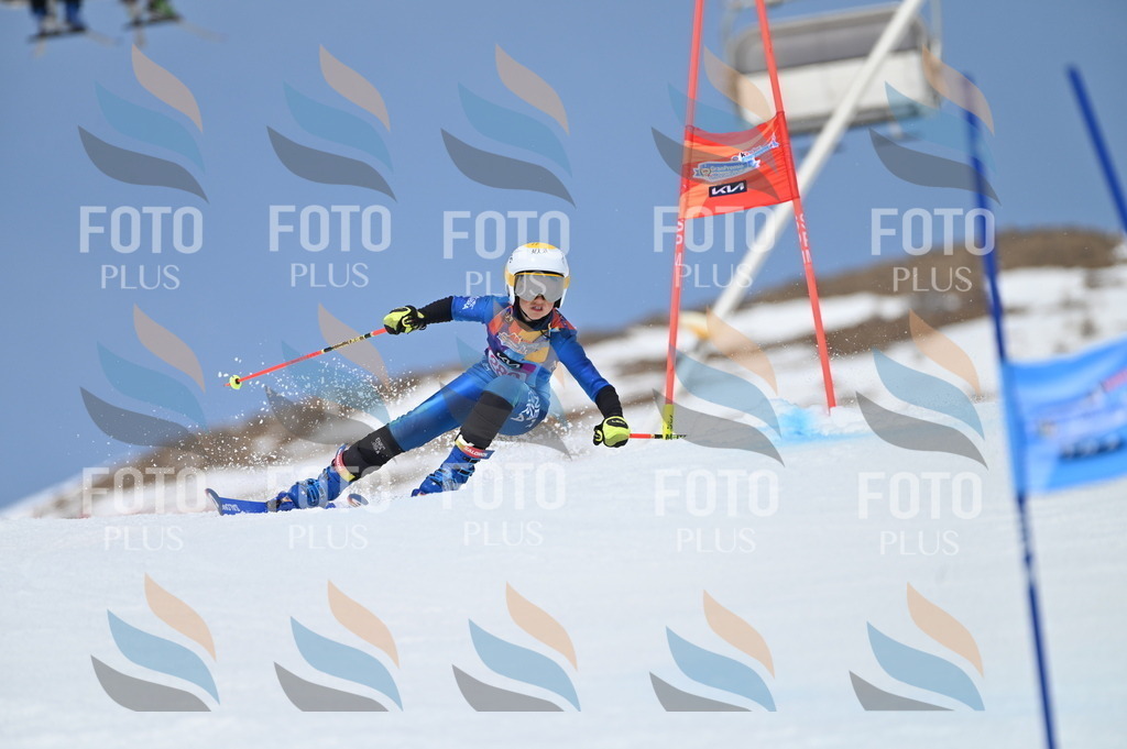 BGV_2395 | holidayphoto