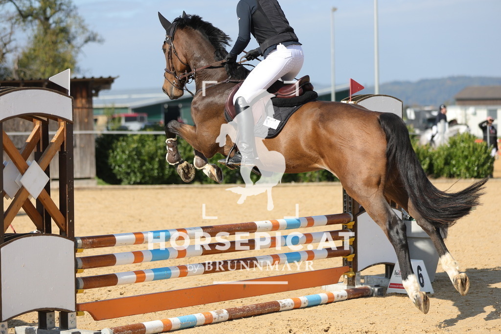 0P6A8314 | Willkommen bei Brunnmayr - Design & Fotografie – Ihrem Spezialisten für Reitturniere und Pferdeveranstaltungen in Oberösterreich, Salzburg und Bayern! Seit über 17 Jahren sind wir leidenschaftlich dabei.