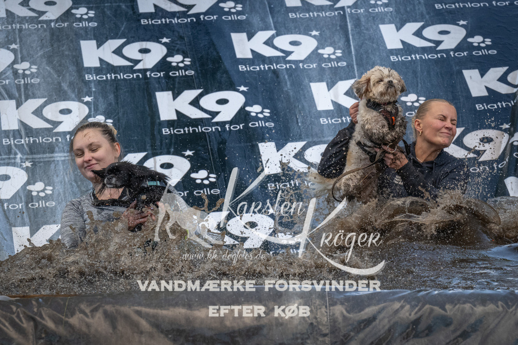 1557_ZZ91486 | kk-dogfotos