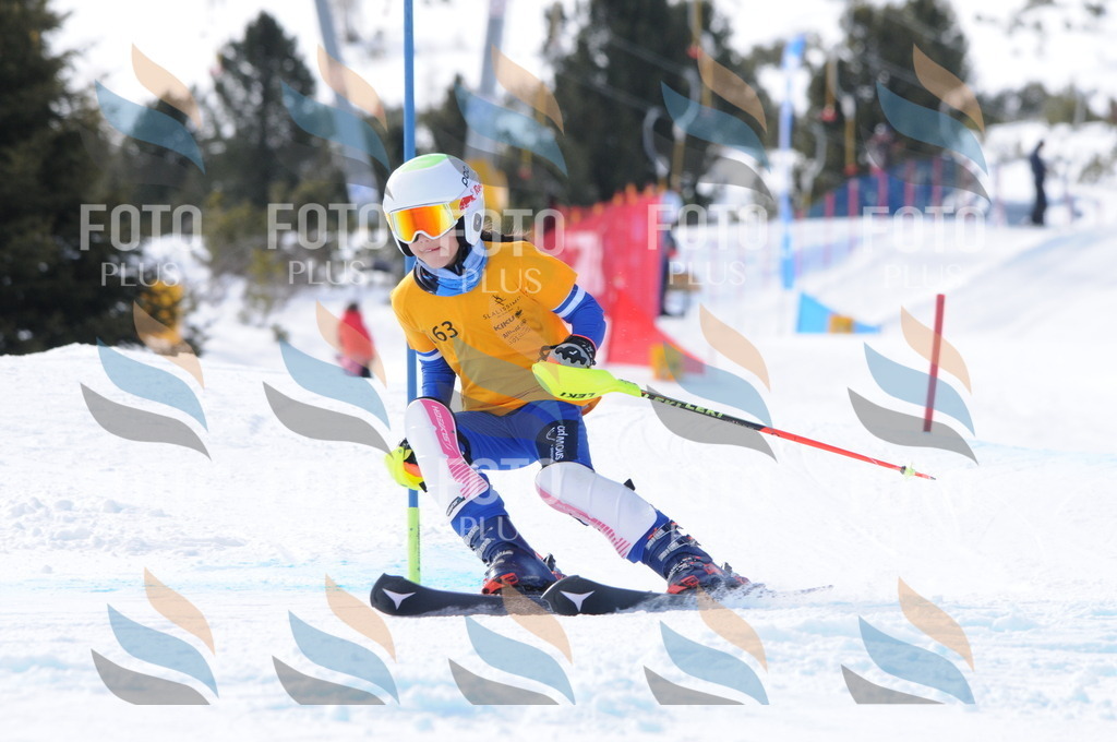 C7349 | holidayphoto