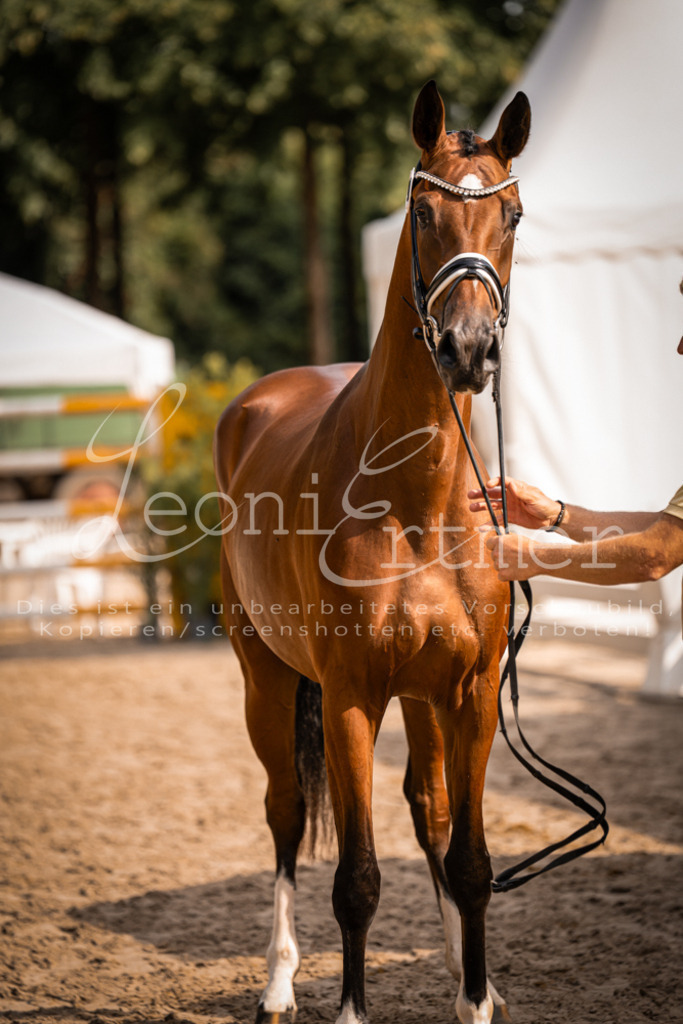 FrER00106 | Leoni Ertmer Photography - Realisiert mit Pictrs.com