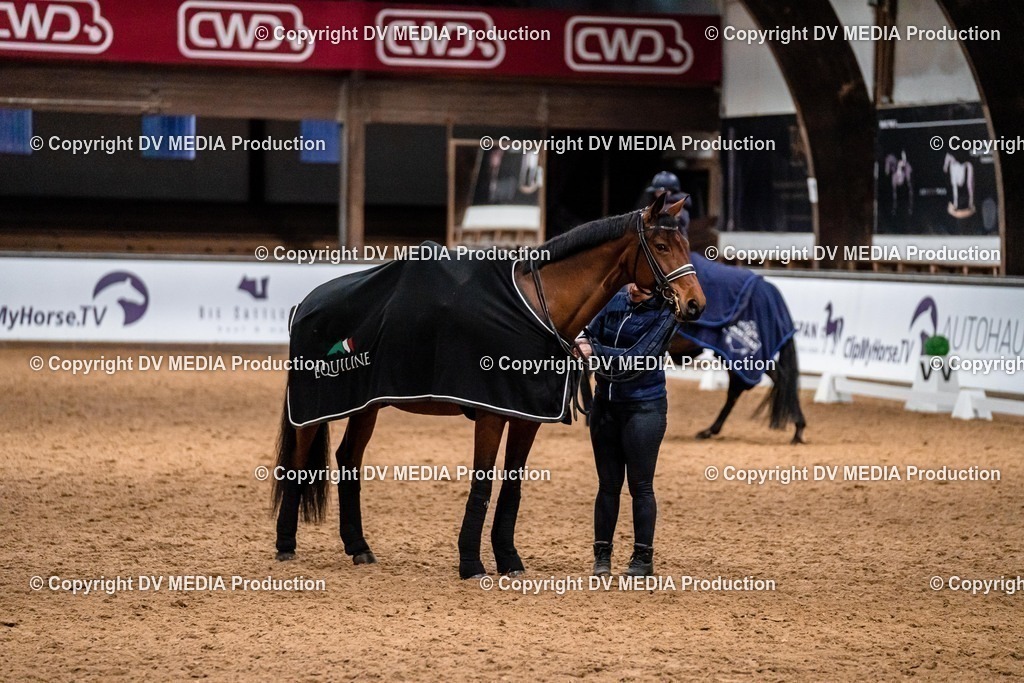 Kranichstein Tag 1-1 | dv-media-shop - Realisiert mit Pictrs.com