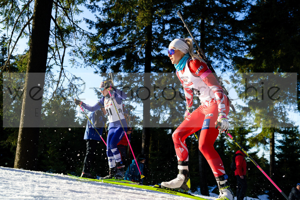 DP Oberwiesenthal | Alpencup/DP Deutschlandpokal in Oberwiesenthal am 15.-17.12.2023