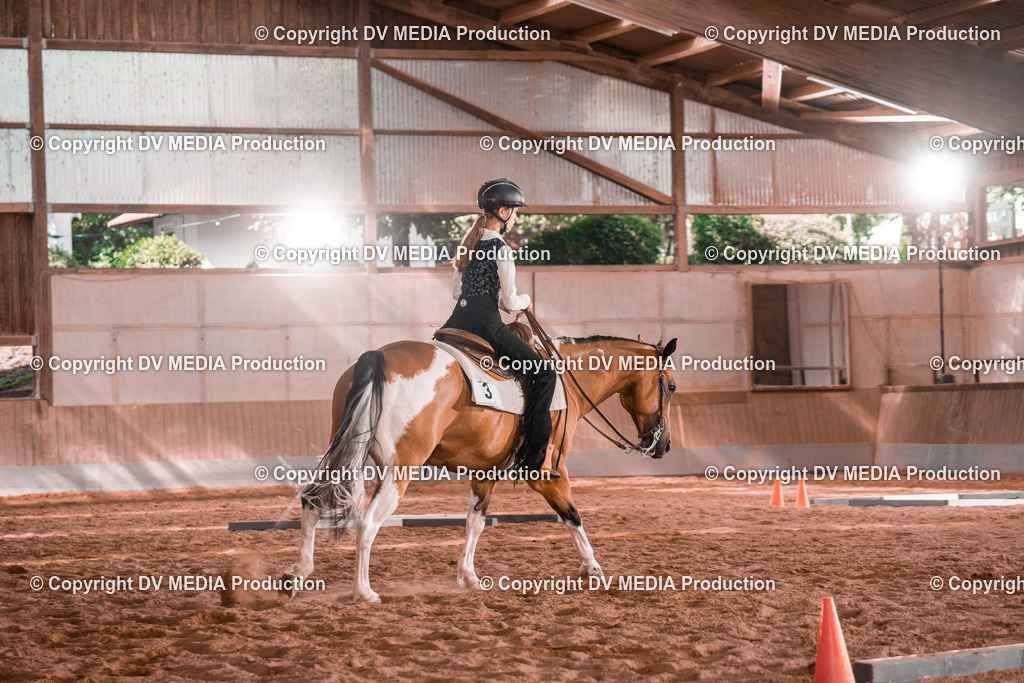 NE200239 | dv-media-shop - Realisiert mit Pictrs.com