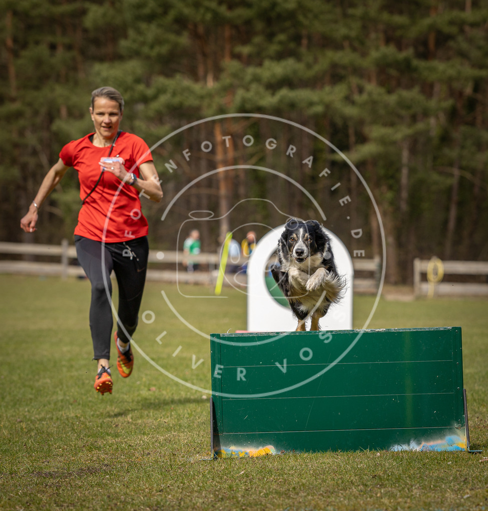 Pfotenfotografie_DV3A8681 | Hundefotografie, Tierfotograf, Pfotenfotografie, Fotoshooting Hund, Hunde Portrait, Hundesport, Hundeportraits, Heideshooting, Hunde, Sportfotograf, Hundefotograf, Turnierhundsport, THS,  - Realisiert mit Pictrs.com