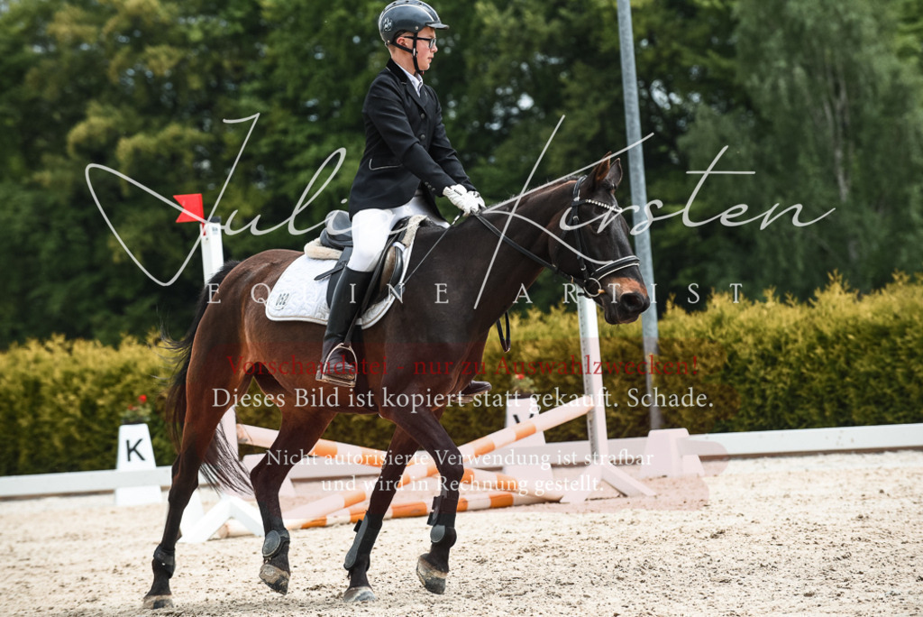 20230518_JK-Röhrsdorf-10-618 | Pferde- und Turnierfotografie in Westsachsen. Pferdeportraits, Auftragszeichnungen und intuitive Kunst.