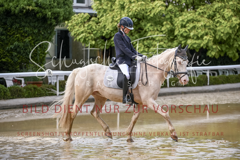 Schugtsche-Aluta25-54.Dressurprf.L1Trense-117 | Schugtsche Fotografie - Realisiert mit Pictrs.com