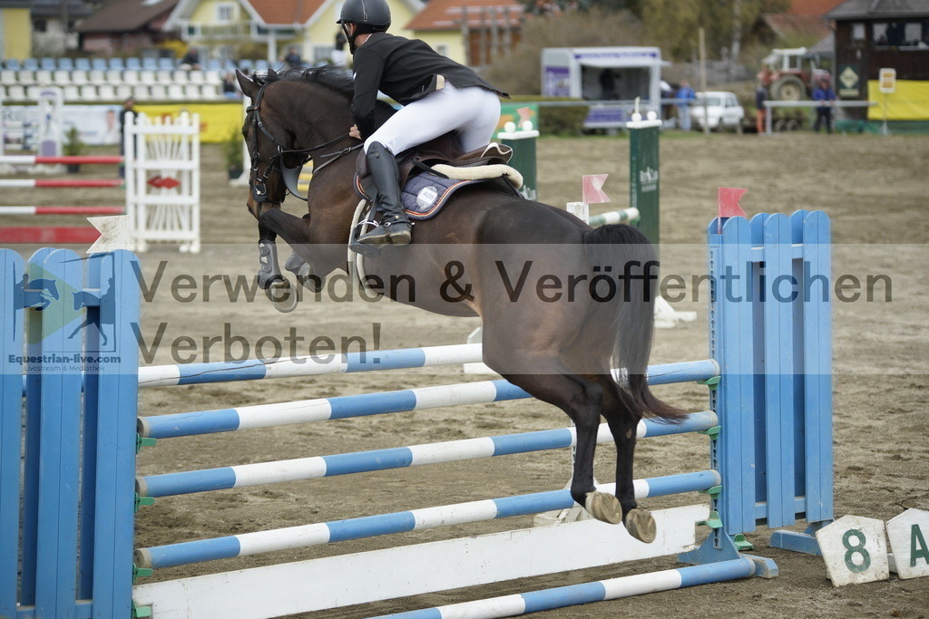 _DSC7449 | equestrian-live-com