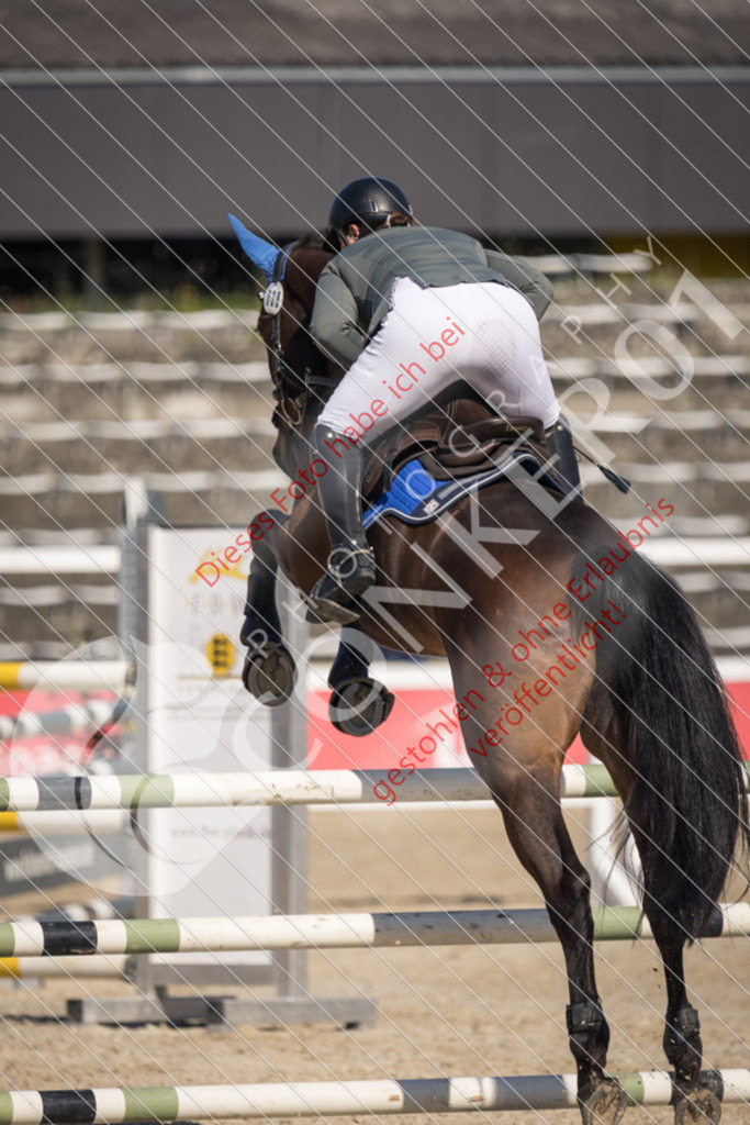 IMG_3673 | Sport-, Event- und Tierfotos in Profiqualität. Einfach auswählen, bestellen und herunterladen. Dein Moment – perfekt festgehalten.